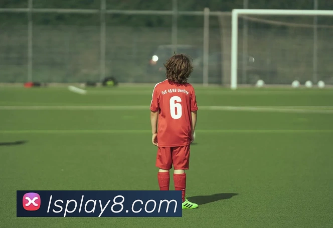 App Interface Preview