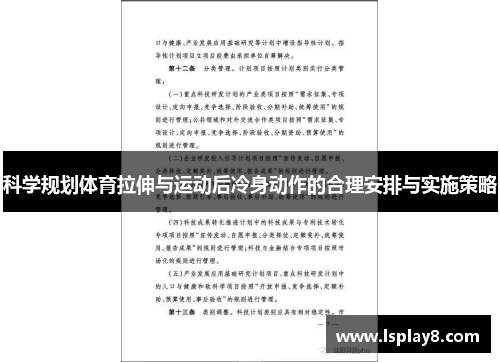 科学规划体育拉伸与运动后冷身动作的合理安排与实施策略